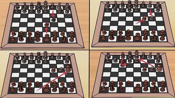 حرکت های شطرنج